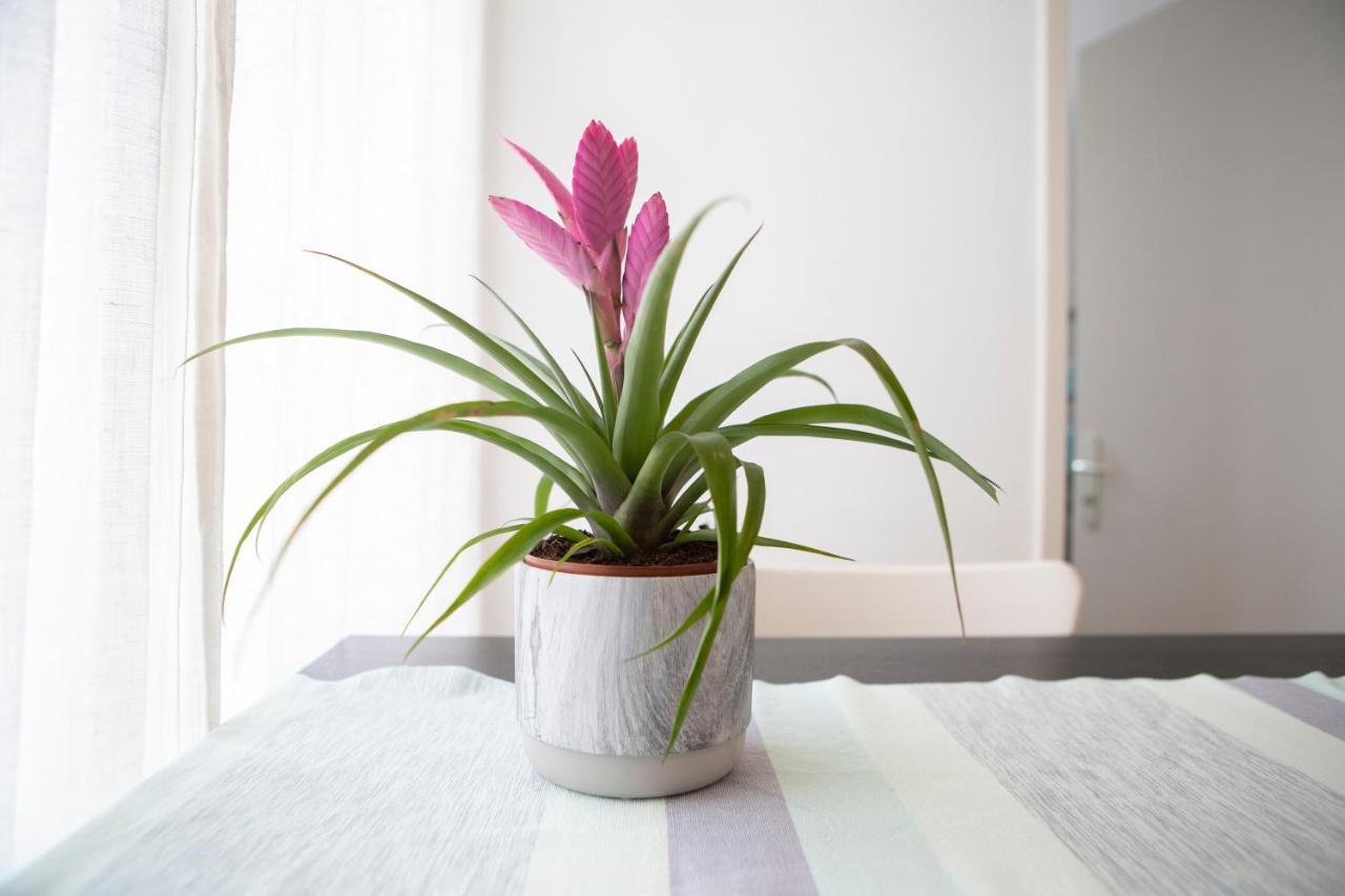 Casa Del Sole Apartment โลการ์โน ภายนอก รูปภาพ