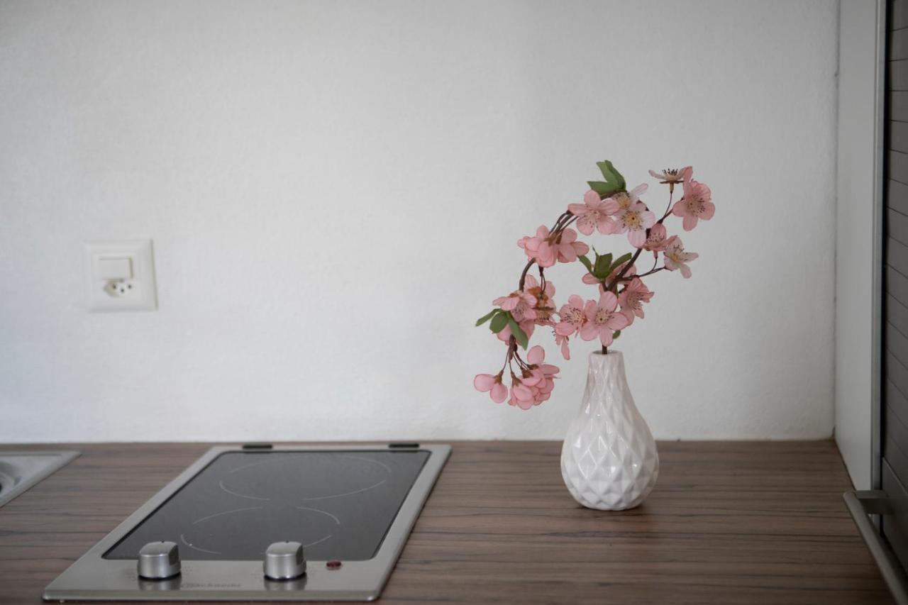 Casa Del Sole Apartment โลการ์โน ภายนอก รูปภาพ
